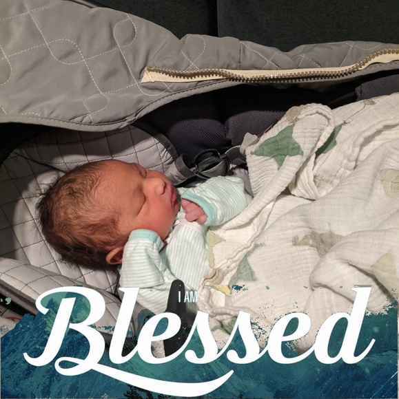 Meet your Posher, Tazlin - Picture 1 of 1